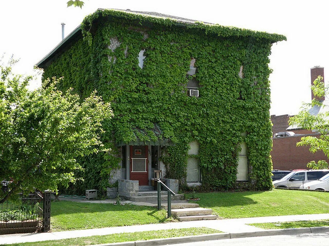 Дом плющ Уэльс. «Зеленый дом» («Green building»). Ереван фасады плющ. Дом с зеленым фасадом. Под плющом