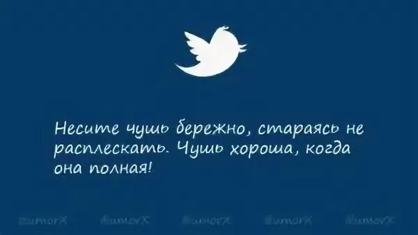 Почему несут чушь. Я несу полную чушь и стараюсь ее не расплескать. Чушь нужно нести бережно. Когда несешь чушь главное не расплескать.