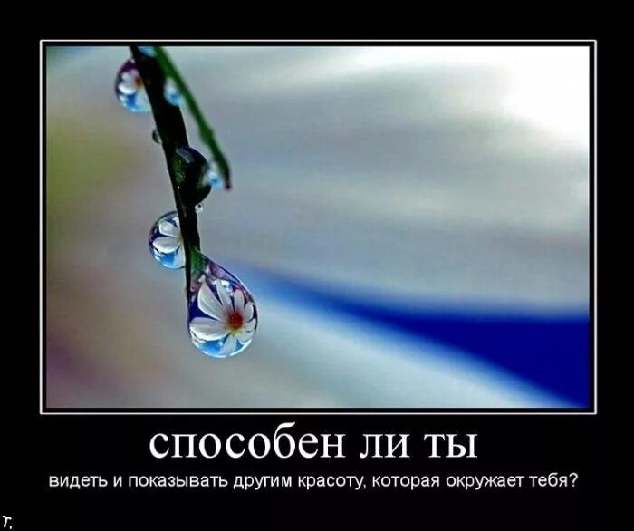 Почему важно уметь видеть красоту окружающий мир. Почему важно уметь видеть красоту окружающий мир