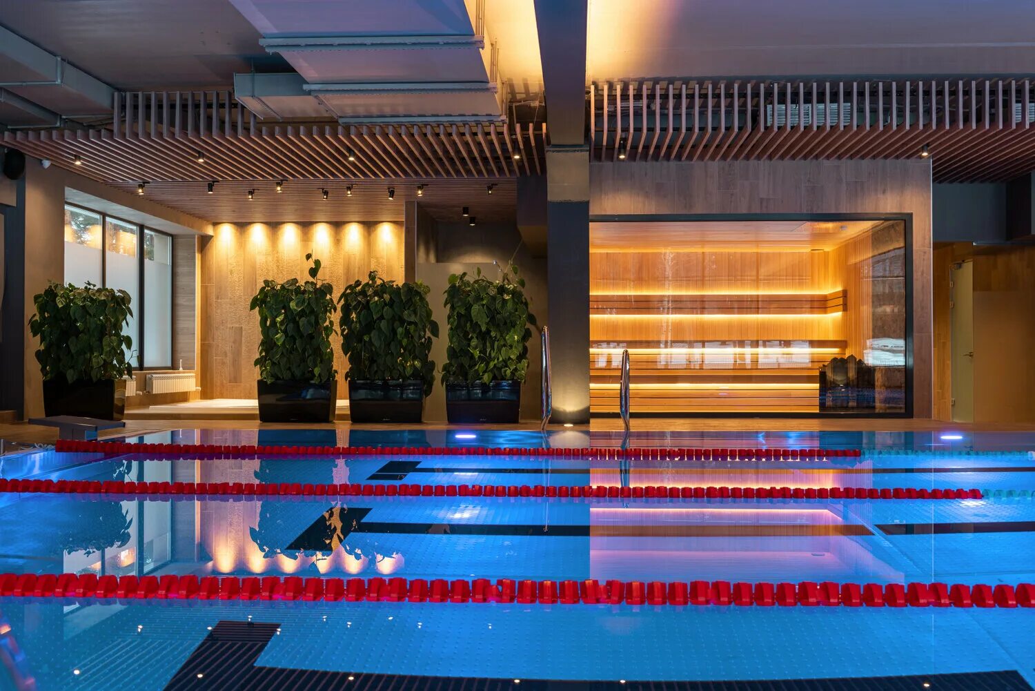 спа плес тамбов. парк отель плес тамбов. гостиничный комплекс плес в г. плес бассейн. плес бассейн тамбов.