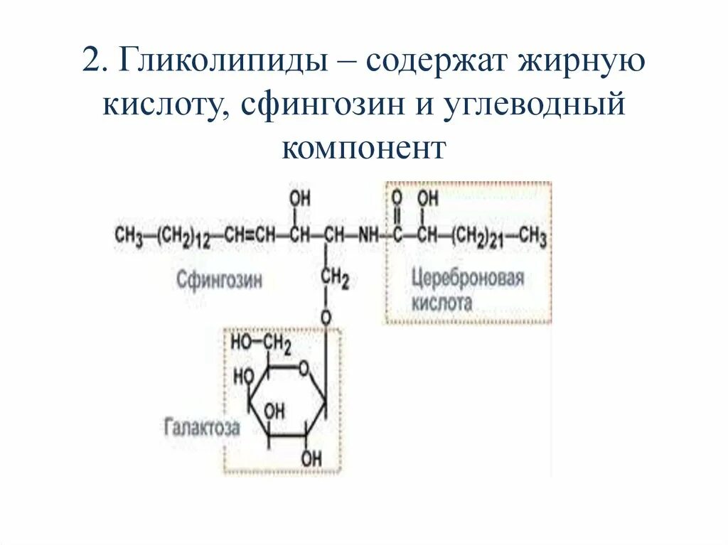 Гликолипиды функции. Гликолипиды формула. гликолипиды биохимия строение. гликолипиды структурная формула. гликолипиды строение и формула.