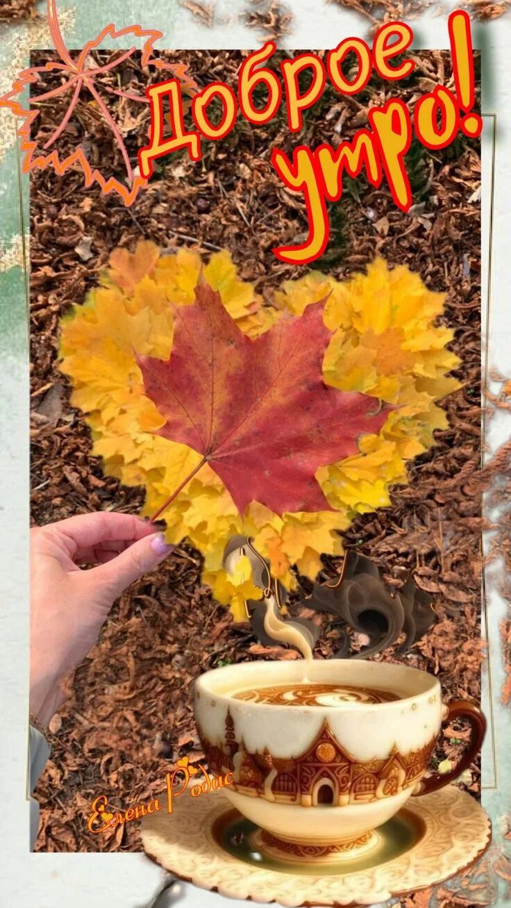 Picture background