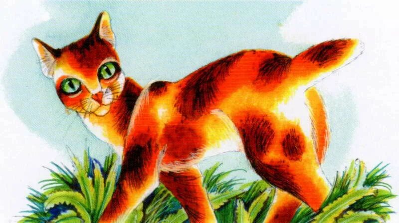 Черепаший хвостик коты. Коты воители черепаший хвостик. черепаший хвостик кв. серое крыло и черепаший хвостик.