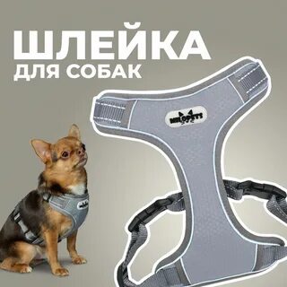 Анатомическая шлейка для собак