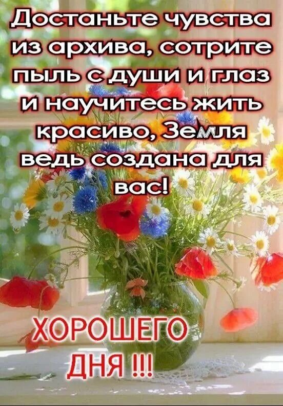 Мудро о добром утре. Добрые пожелания и высказывания. Умные поздравления с добрым утром. Душевные пожелания с добрым утром. Мудрые пожелания с добрым утром.