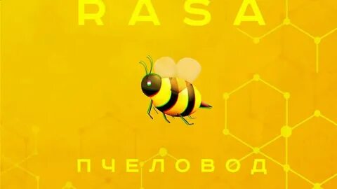 Пчела музыка нас связала