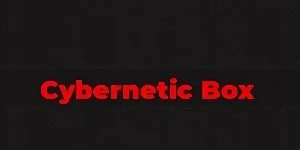 Cybernetic box type soul