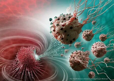 Cancer cell