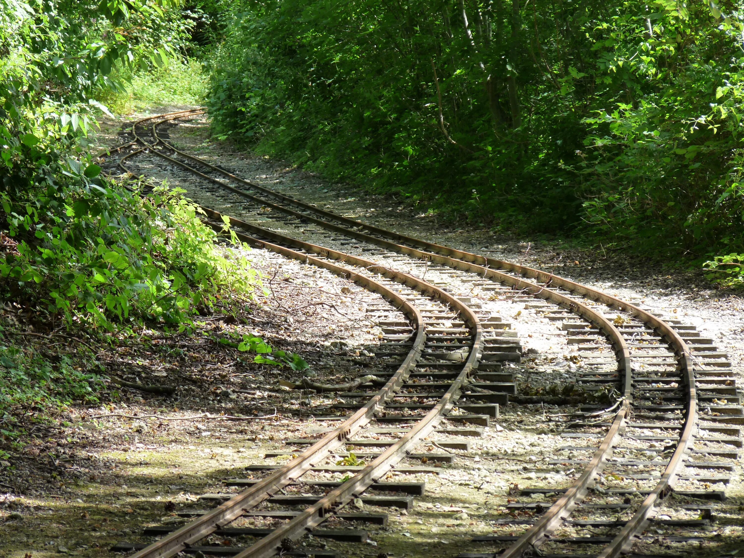 Rails wiki
