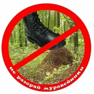 Не давило
