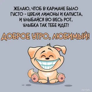 Открытки с добрым утром для мужчин прикольные