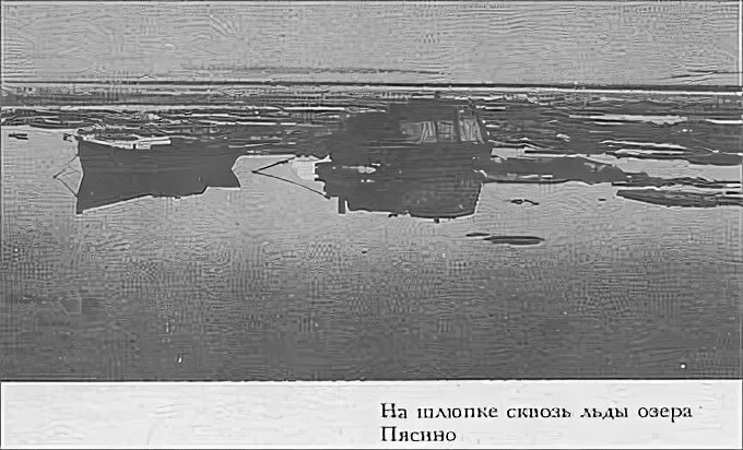 Северен н