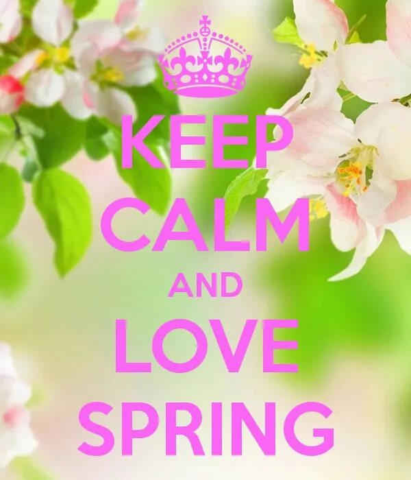 Keep Calm Spring. Spring Love. Spring Love картинки. Keep Calm and Love Spring picture. Как переводится spring