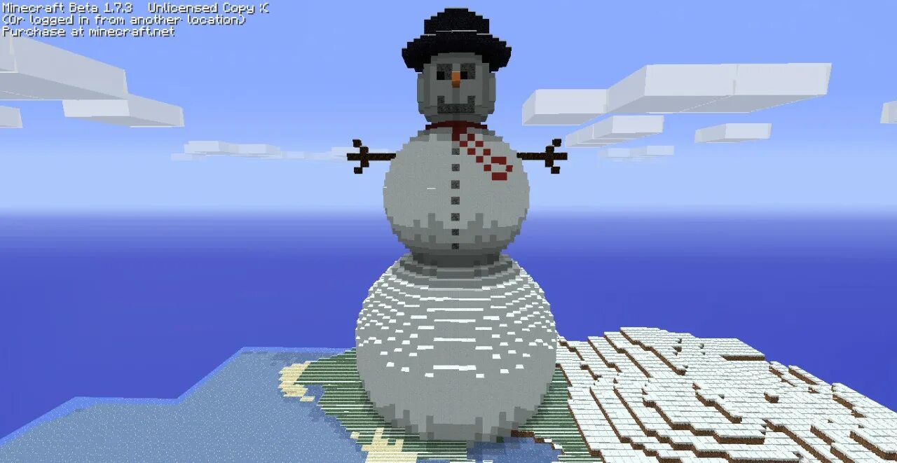 Type minecraft snowball run