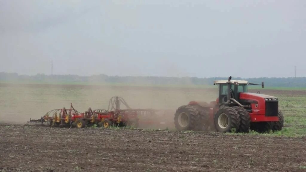 Посевная кампания. Посевная страда. Полевые работы. Посевная алтайский край. Ао крутишинское 659065 алтайский край шелаболихинский.