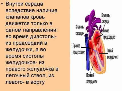 Наличие клапанов
