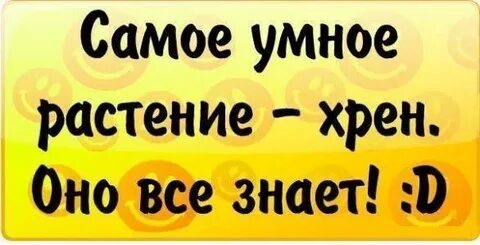 Хрен знает что такое