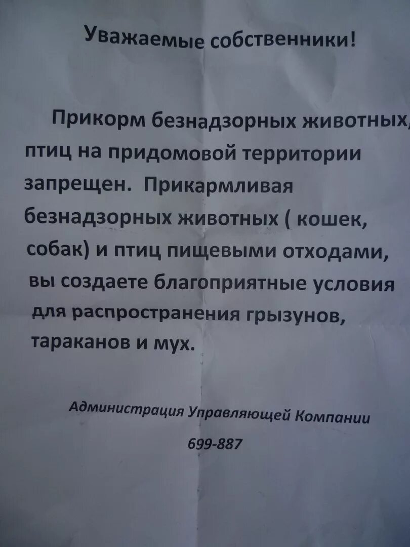 Штраф за кормление животных. Объявление о животных в подъезде. объявление чтобы не кормили бездомных животных. объявление о запрете кормления бездомных животных. объявление не кормить кошек в подъезде.