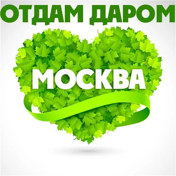 Срочно отдавать