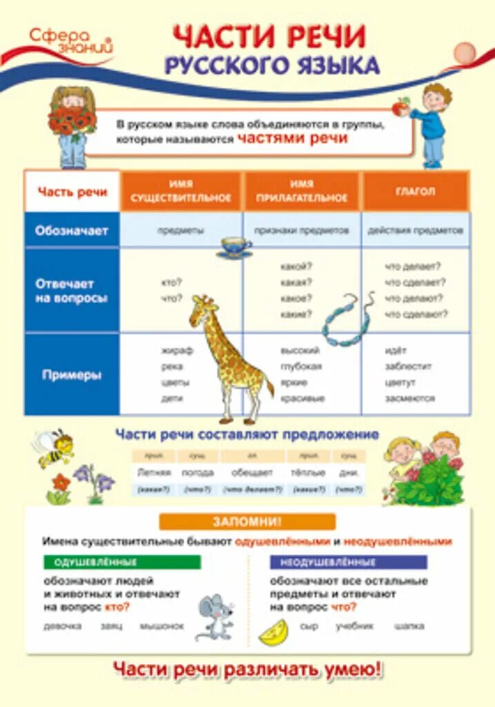 Плакаты для начальной школы русский язык части речи\. Плакат русский язык части речи. Плакат сфера знаний части речи. Обучающие плакаты русский язык.