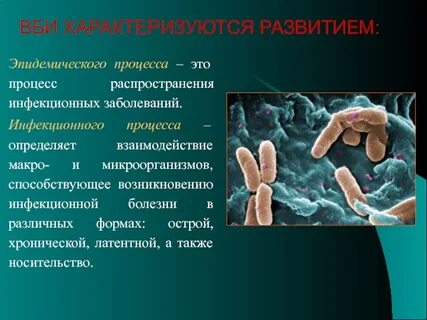 Развитие внутрибольничной инфекции
