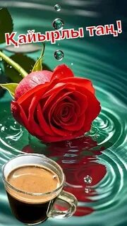 Порно бюсти қара әйел с большой жопы