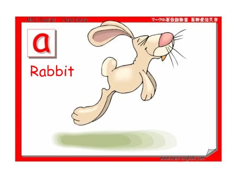 Как переводится rabbit. Карточки по английскому языку кролик. rabbit карточка на английском. карточки с английскими словами для детей кролик. карточки с изображением rabbit.