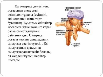 Бейнеде ғашық болған қарттар