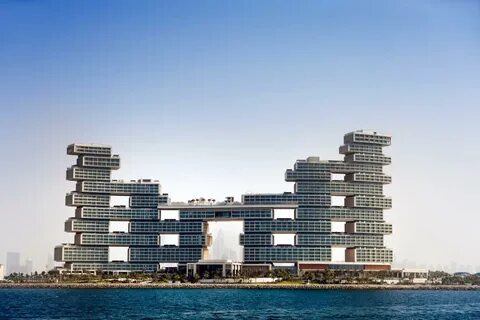 Змеиный отель 2023