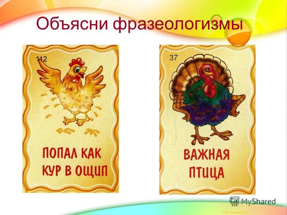 Важная птица или крупная рыба. Важная птица или крупная рыба. Важная птица рисунок. Птица дрохва. Важная птица.