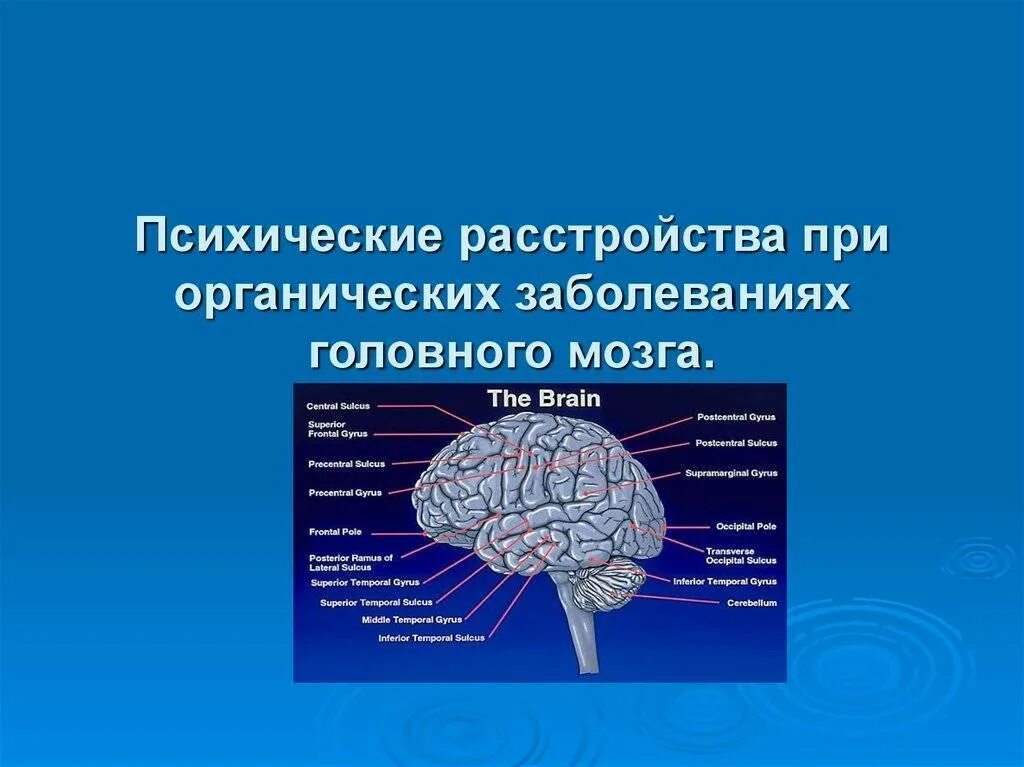 Тяжелые поражения мозга. Для органического поражения головного мозга характерно. Заболевание головного мозга виды. Органические нарушения головного мозга. Мозг психических расстройств.