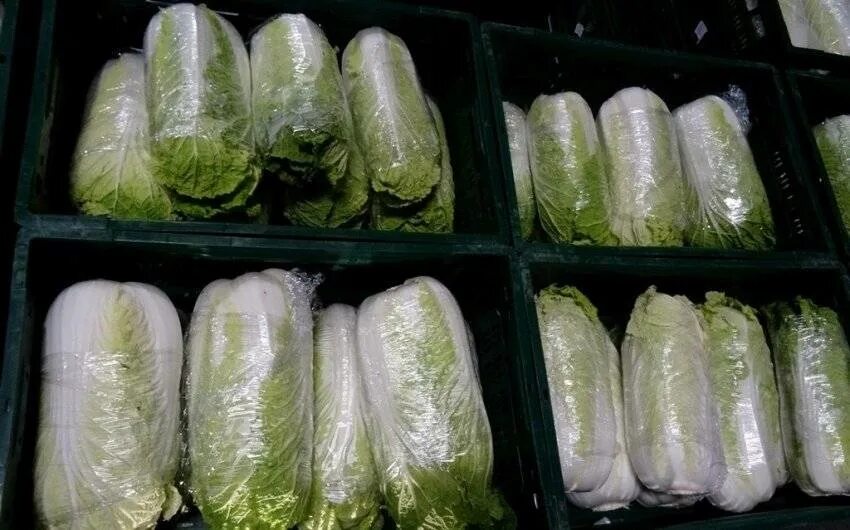 Морозят ли капусту белокочанную на зиму