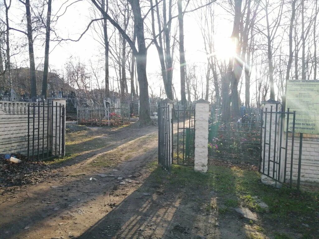 Могилев кладбища. Карабановское кладбище владимирская область. пашковское кладбище могилев. гребеневское кладбище в могилеве. могилёвское кладбище на машаковке.
