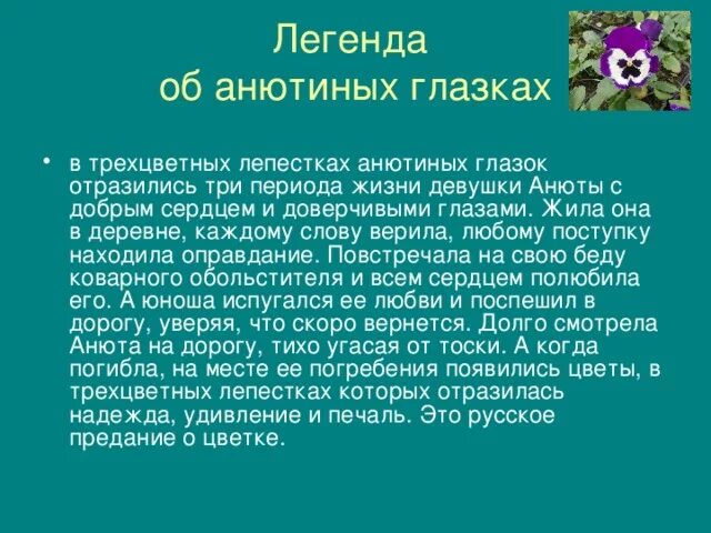 История глазок. Анютины глазки Легенда. Легенда про Анютины глазки для 2 класса. Легенда о цветах Анютины глазки. Анютины глазки Легенда о цветке для 2 класса.