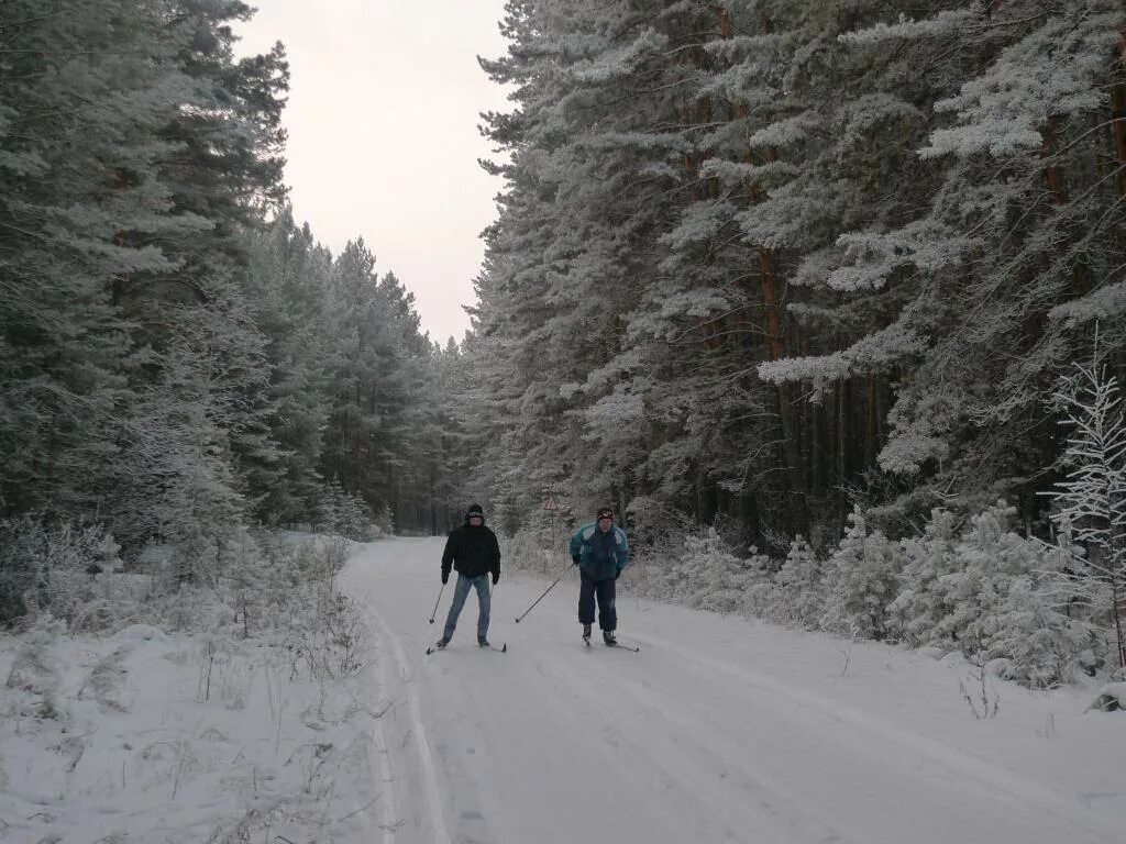 Порошино вологда. На лыжах в лесу. Прогулка на лыжах по зимнему лесу. Лыжник в лесу. Парень на лыжах в лесу.