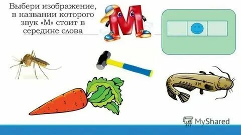 Слово с окончанием буквой м