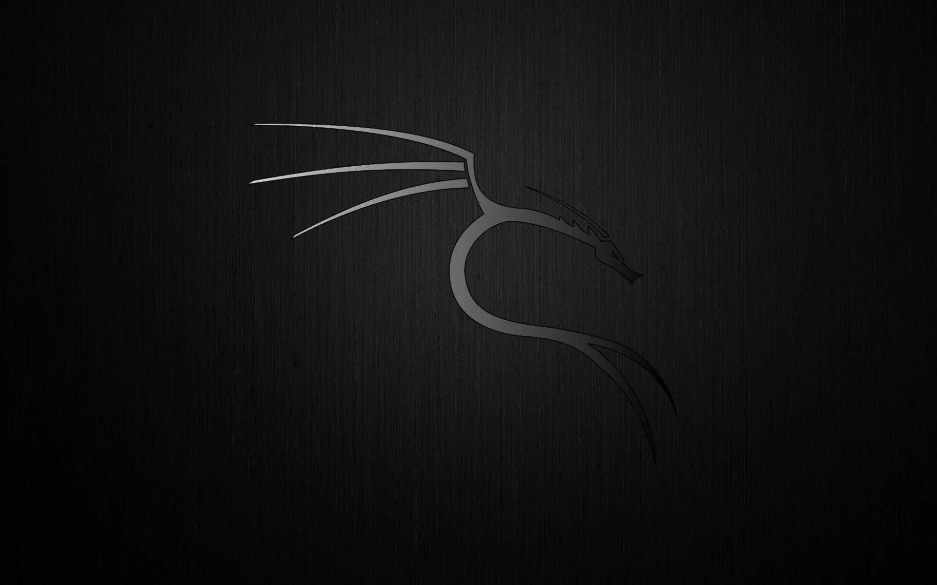 Почему kali linux. Kali linux 2025.1. дракон кали линукс. kali linux nethunter.