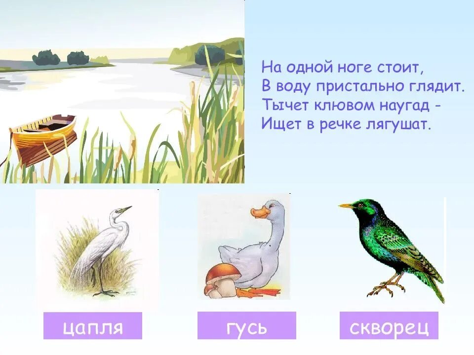 Загадки про птиц 4 лет. Загадки про перелетных птиц для детей. Загадки про перелетных птиц. Загадки о перелетных птицах для детей 4-5. Загадки про перелетных птиц для дошкольников.