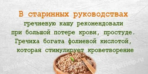 Чем вредна гречка для организма