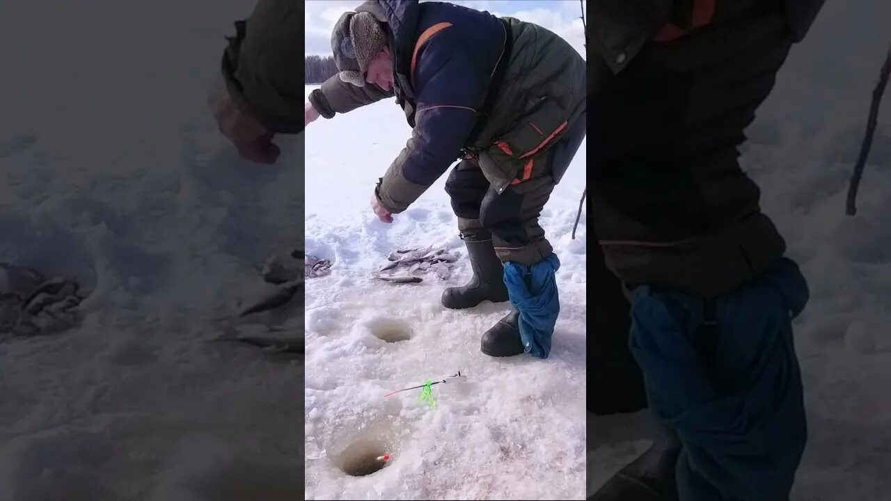 рыбалка зима 2023 видео