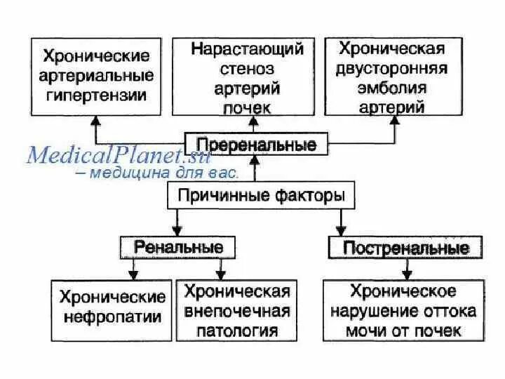 Уремии хроническая почечная недостаточность. Уремии хроническая почечная недостаточность. Азотемия при почечной недостаточности. Уремии хроническая почечная недостаточность. Уремии хроническая почечная недостаточность.