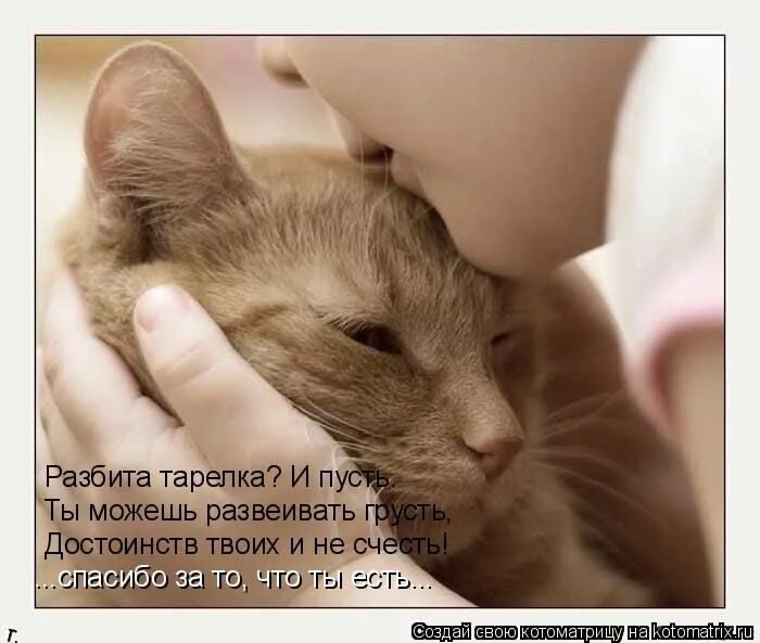 Она всего лишь кошка. Кот ест. Кошачье счастье картинки. Смешные рисованные картинки. Открытка бодрости духа и оптимизма.