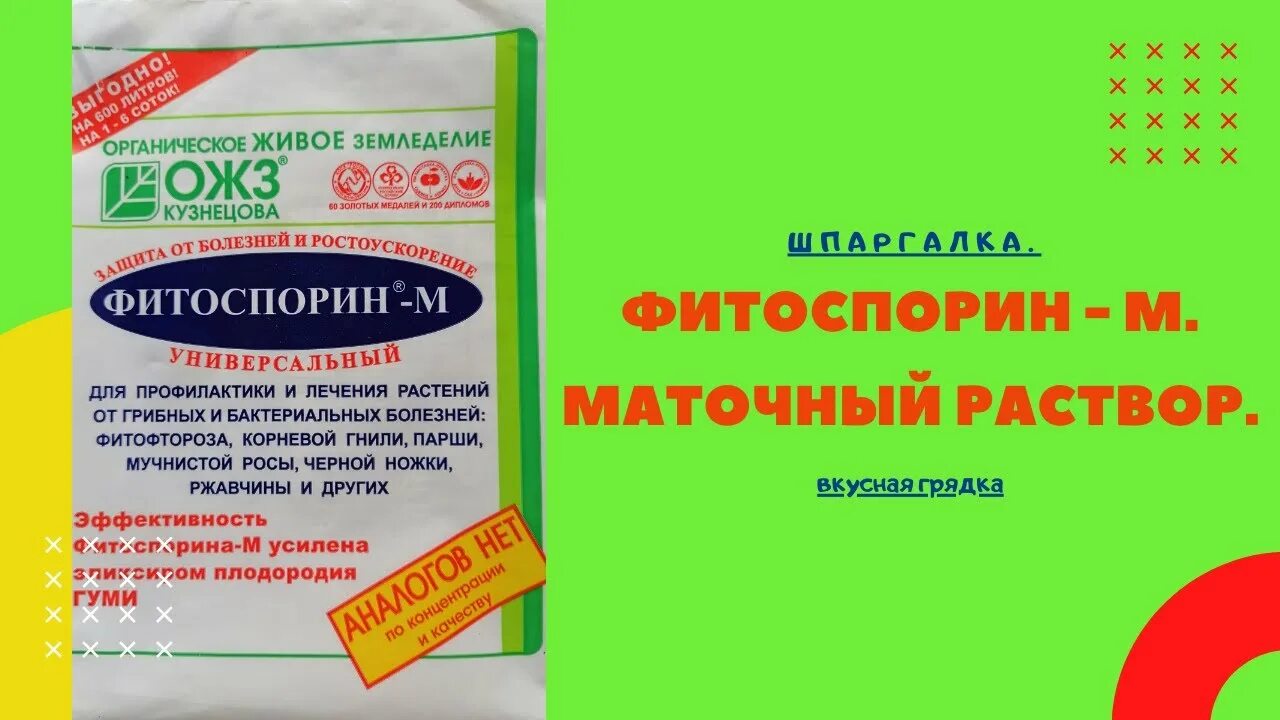 Сколько маточного раствора фитоспорина. Фитоспорин маточный раствор. Как правильно разводить Фитоспорин. Фитоспорин м для капусты. Фитоспорин разведенный.