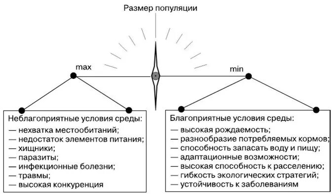 В одном из районов саванн численность популяции. В одном из районов саванн численность популяции