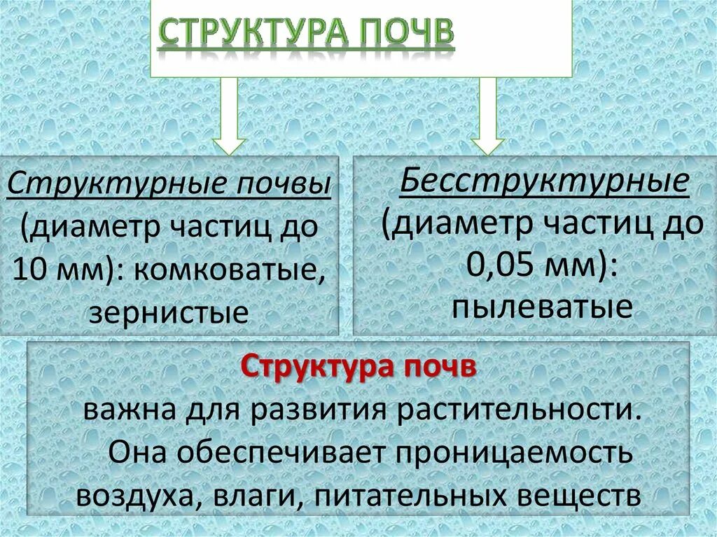 Различие почв бесструктурные. Структура почвы. Состав и строение почвы. Структура почвы схема. Структура почвы структурная бесструктурная.