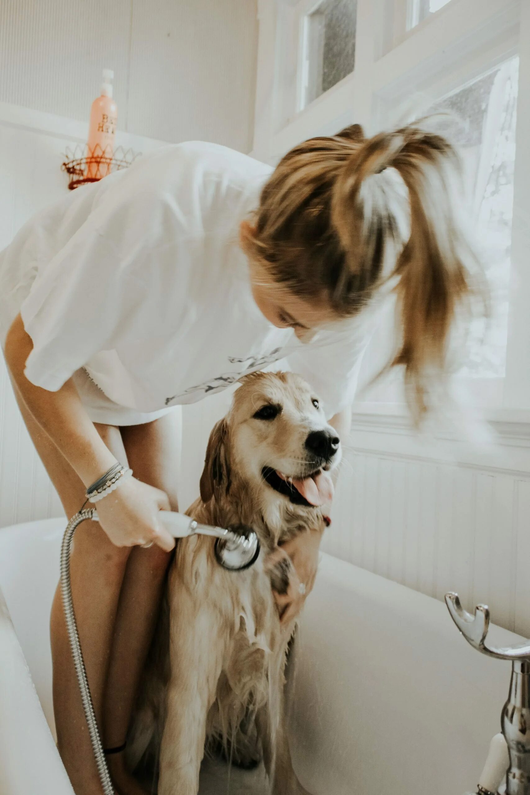 Plan dog wash salon. Логотип мыла. You the dog washing are. Ванна для собак. You the dog washing are.