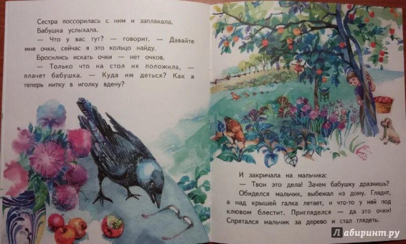 Рассказ б Житкова Галка. Рассказ Бориса Житкова Галка. Читательский дневник рассказы житкова