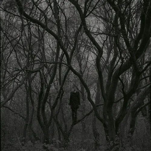 Человек в мрачном лесу. Мрачный депрессивный лес\.