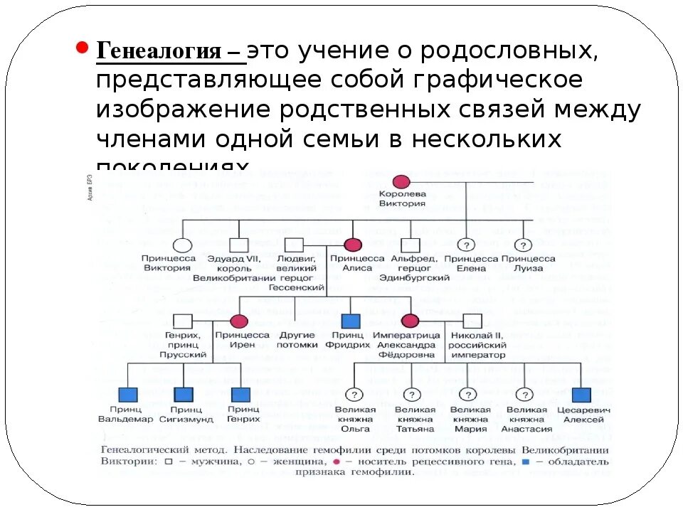 Как составить семейное древо. Родословное древо. Презентация семейное дерево. Генеалогия это в биологии. Родословная это определение.