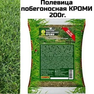 Полевица побегоносная для газона